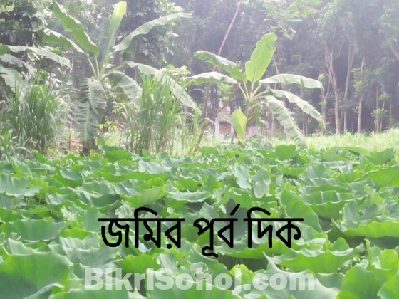 কৃষি / অকৃষি